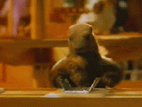 6010371082672513jt7zg.gif