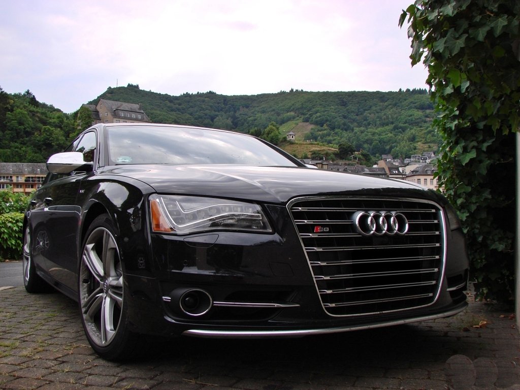 601539S8D4801.jpg