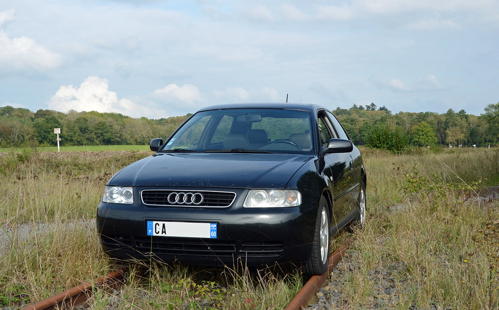 603161DSC3383b.jpg