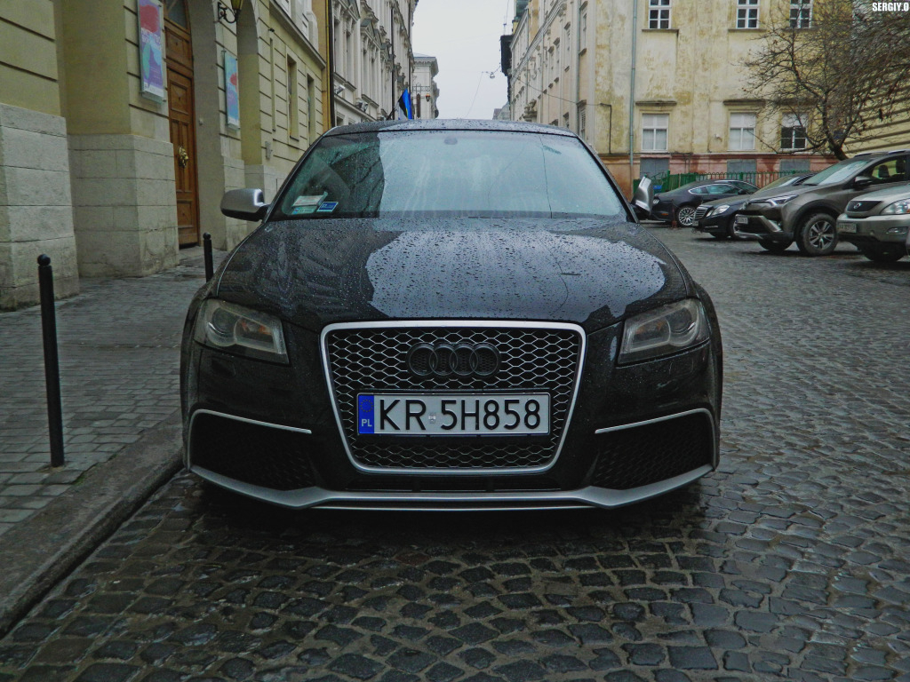 6032402091RS3.jpg