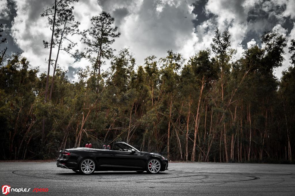603527AUDIWHEELS1069VS5B9.jpg