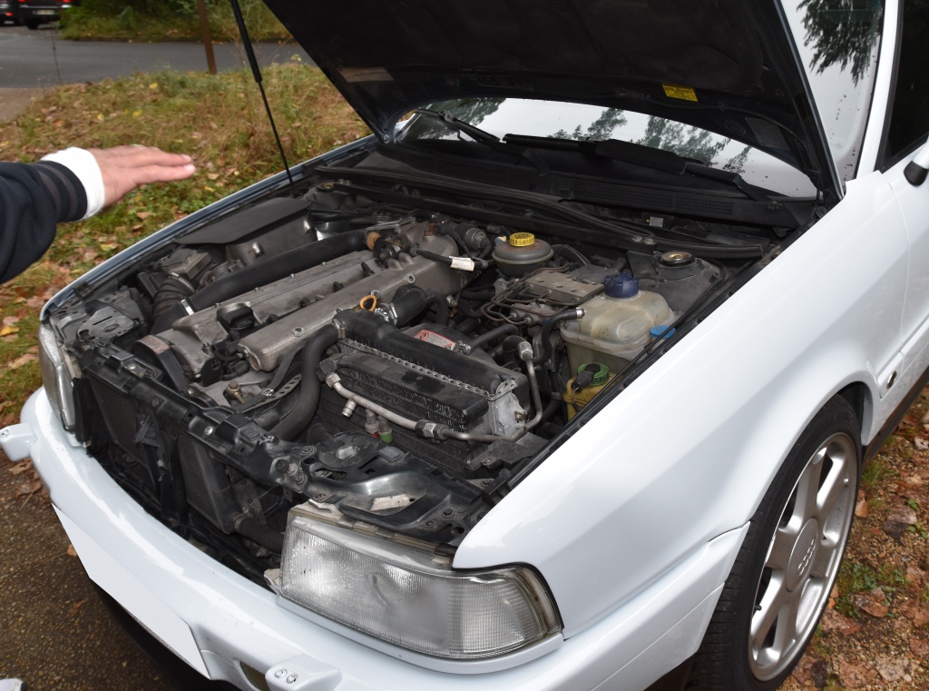 606614DSC00572x.jpg