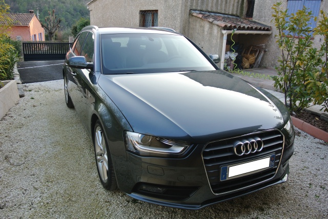 610013DSC5397mod.jpg