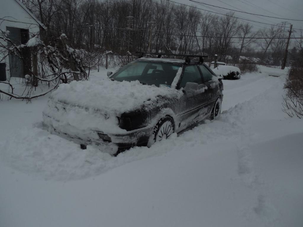 611425895NEIGE.jpg