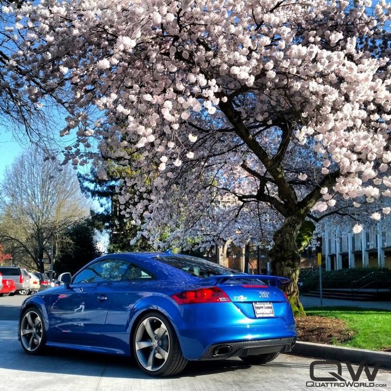 611643AUDITTRS635.jpg