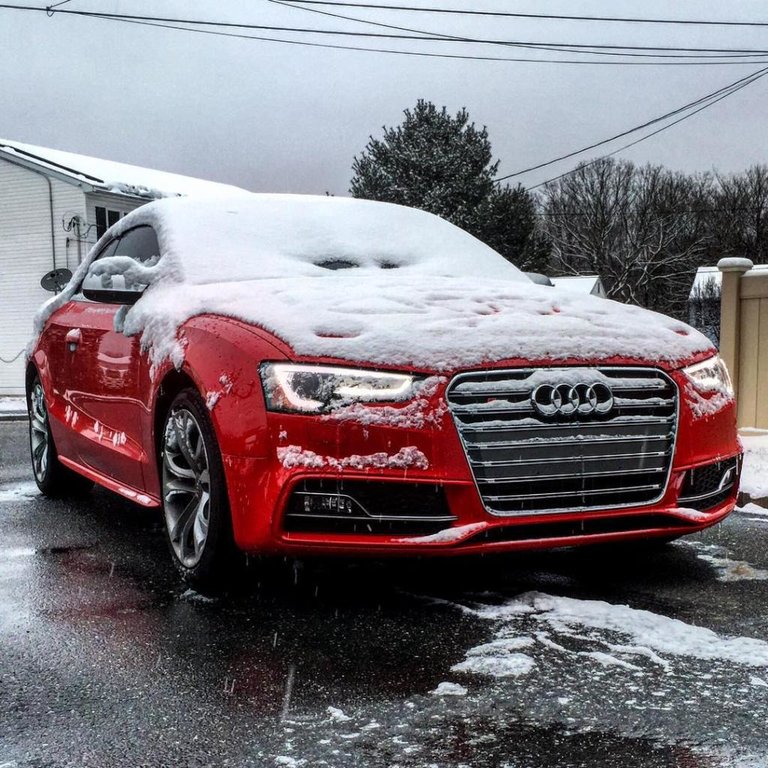 6126721828NEIGE.jpg