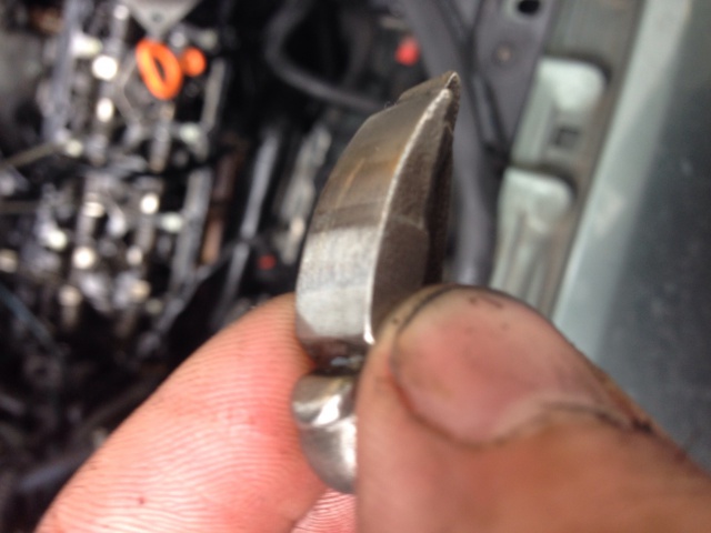 613521image.jpg