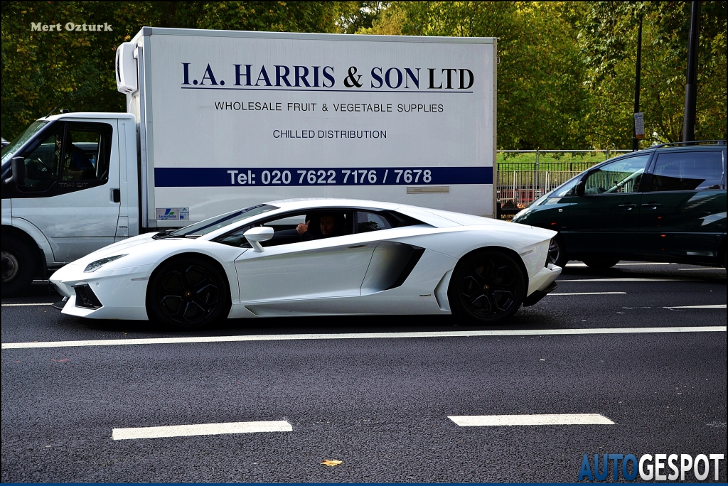618719012LAMBORGHINIAVENTADORESQUIROU.jpg