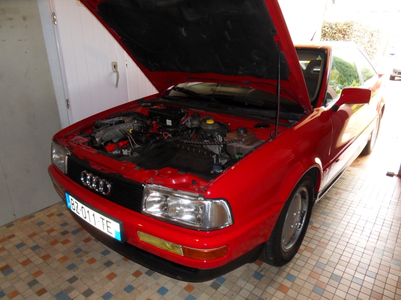 619890SDC12138.jpg