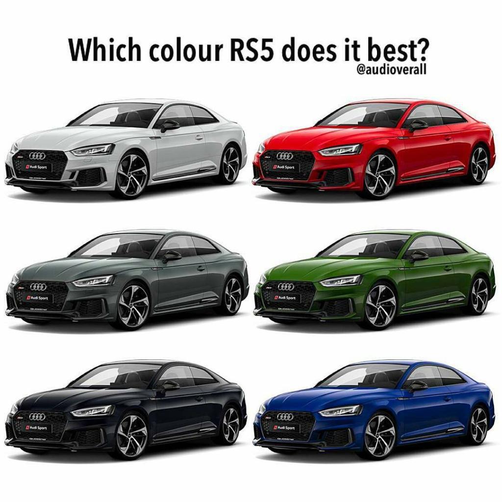 623093RS5B90209.jpg