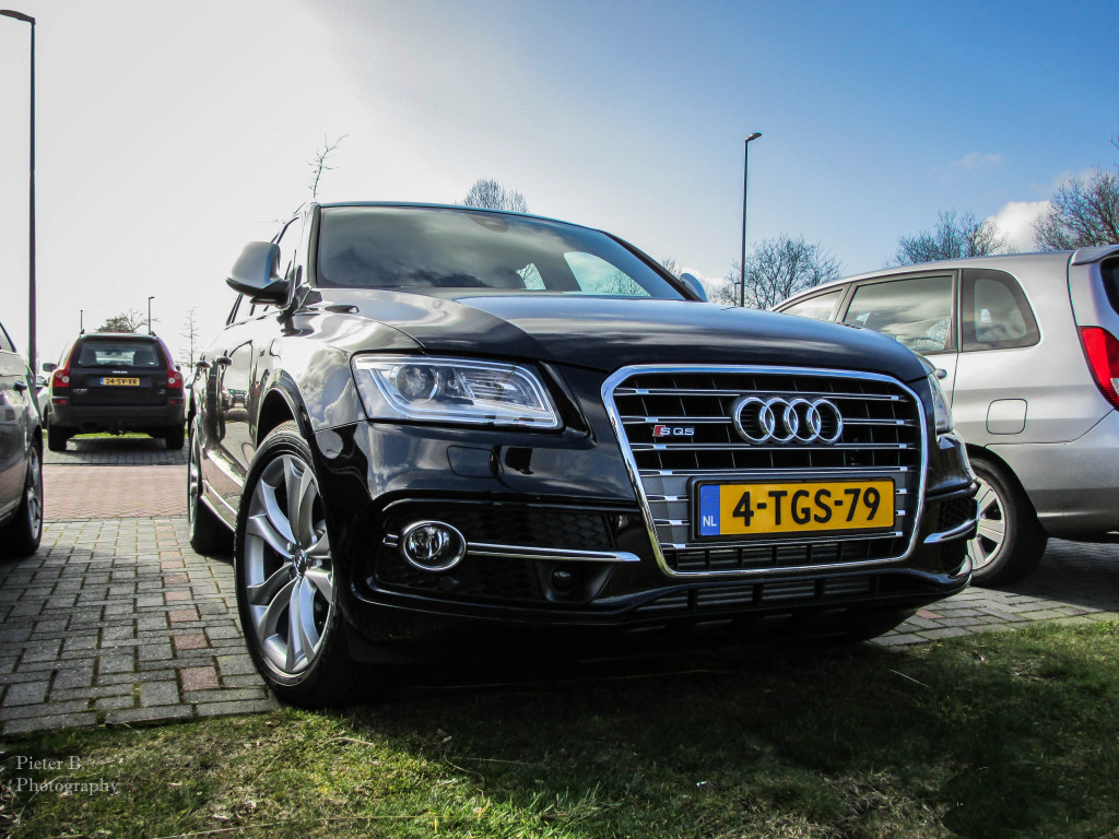 625663AUDISQ5965.jpg
