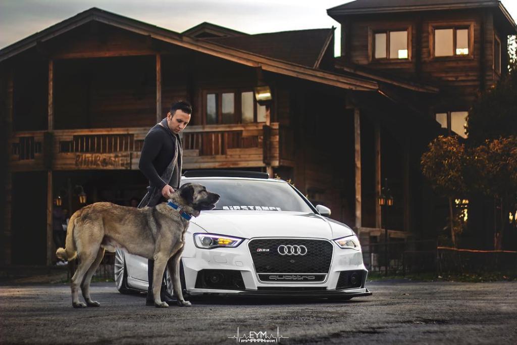 626070RS38V1671.jpg