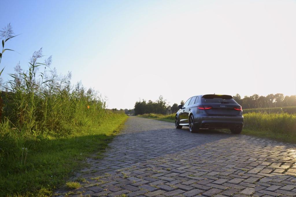 626124RS38V1552.jpg