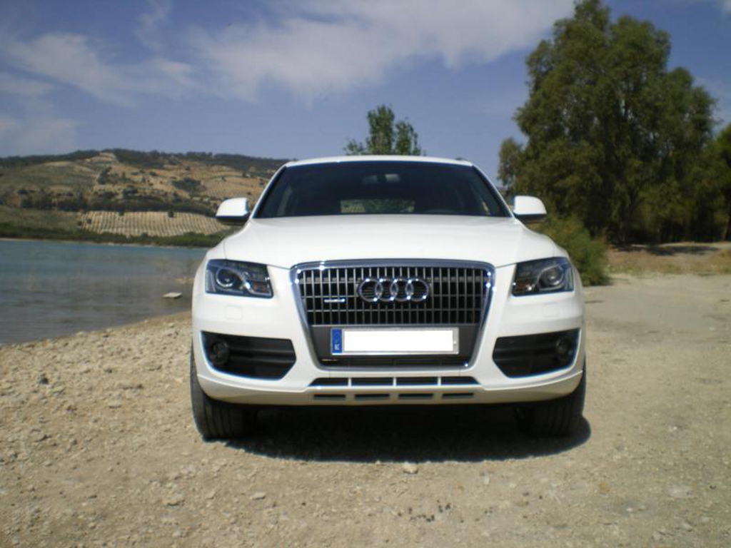 627003506Q5.jpg