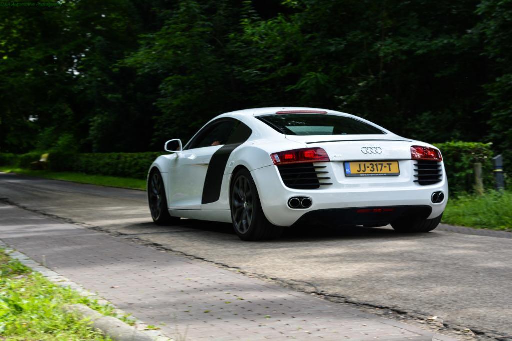 6274813370R8.jpg