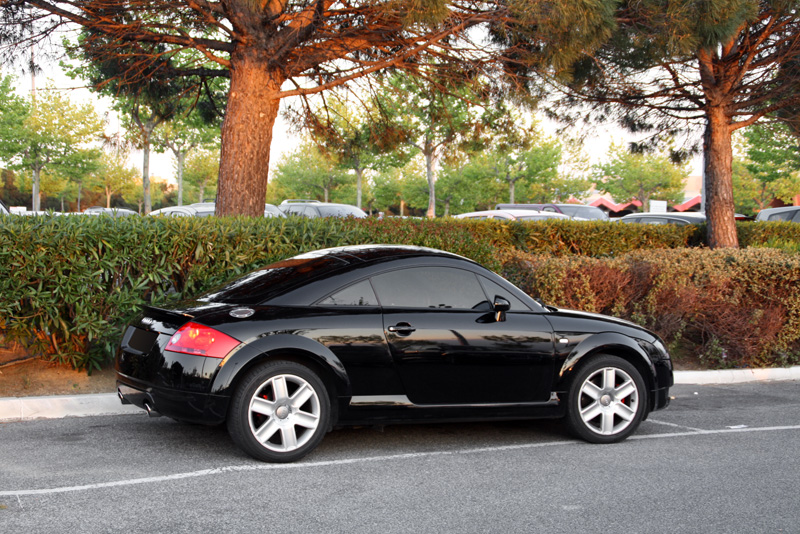 627731IMG5128SL800.jpg