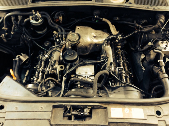 628047image.jpg