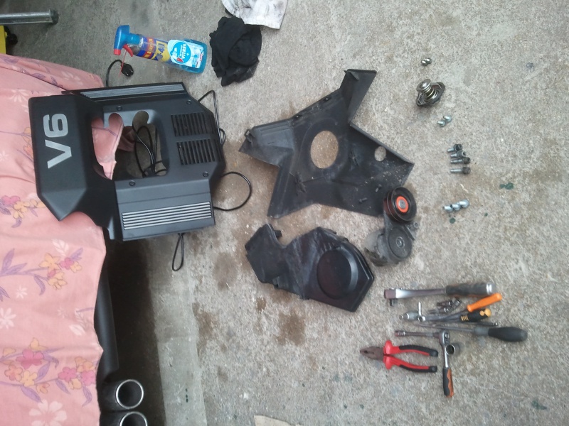628275Photo5836.jpg