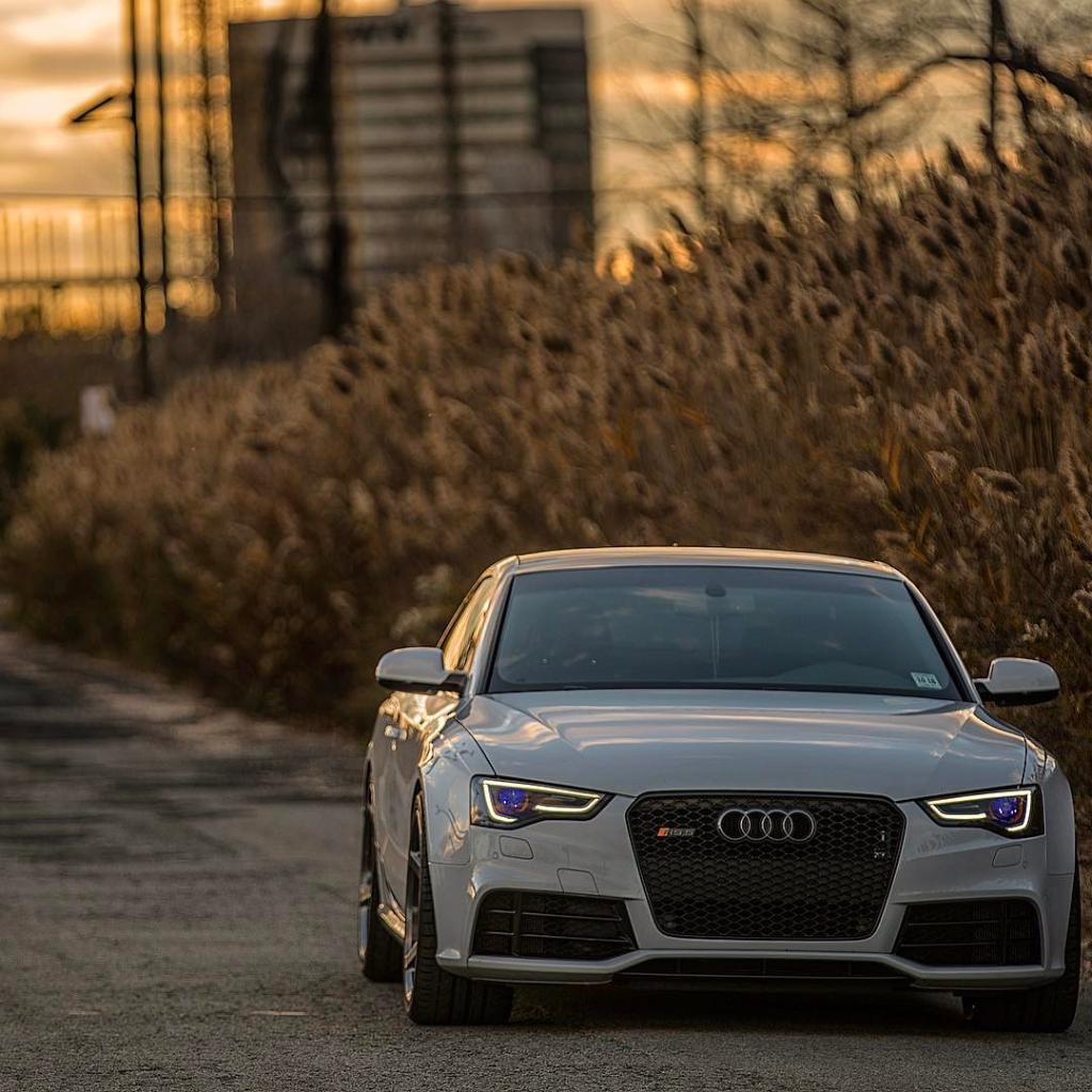 628776AUDIRS53226.jpg