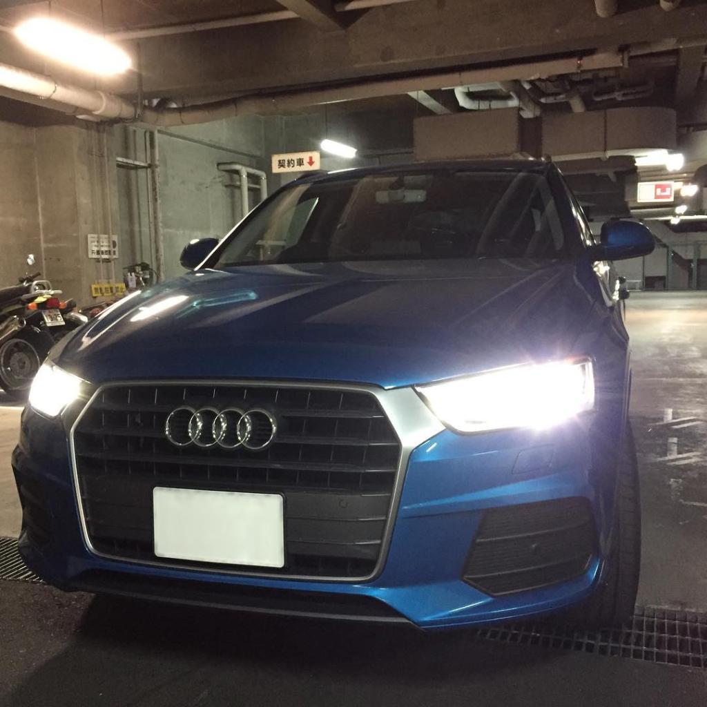 628812Q31387.jpg