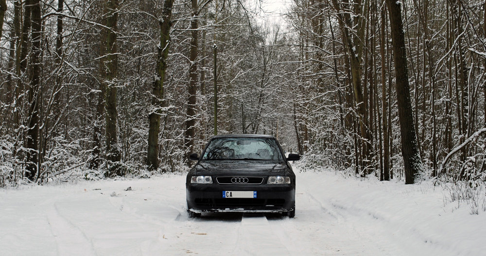 631491DSC5415b.jpg