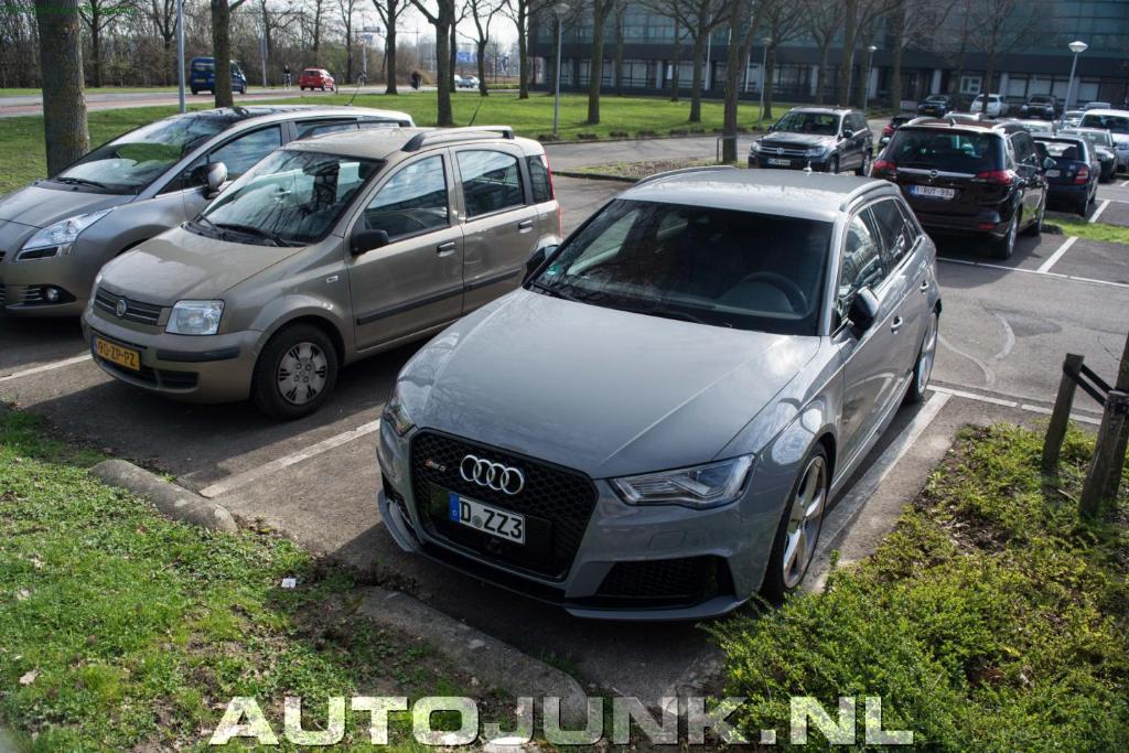 631778RS38V3097.jpg