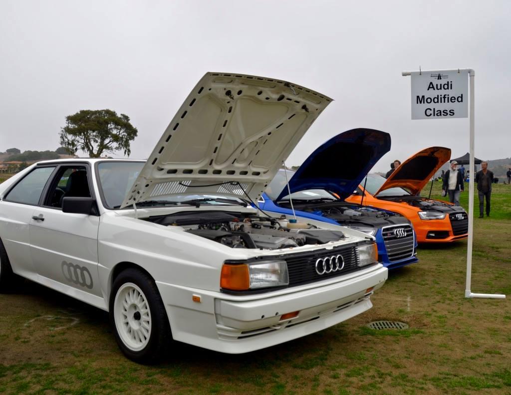 631892URQUATTRO2075.jpg