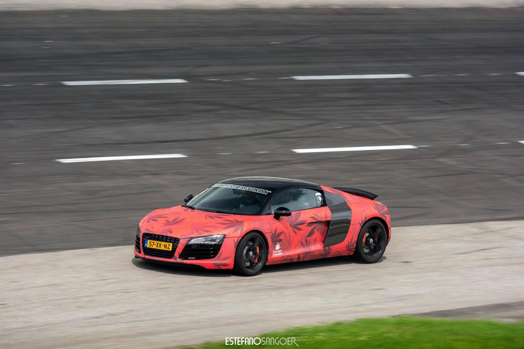 6323843389R8.jpg