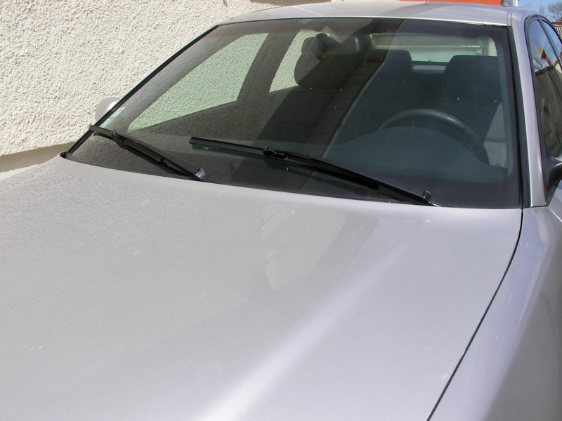 632681SANY0001.jpg