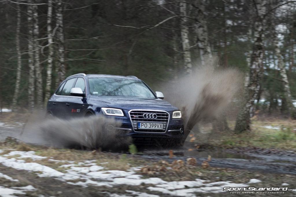 643573AUDISQ51511.jpg