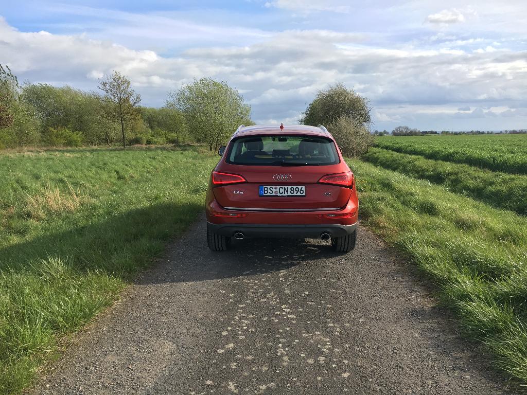 6435941963Q5.jpg