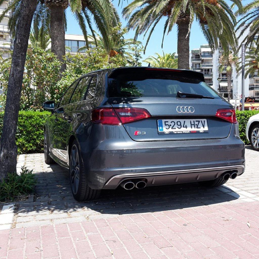 646067S38V1881.jpg