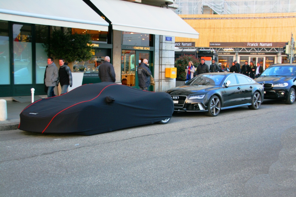 650560RS7424.jpg