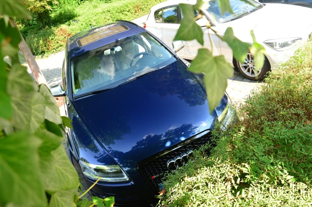 650725RS61817.jpg