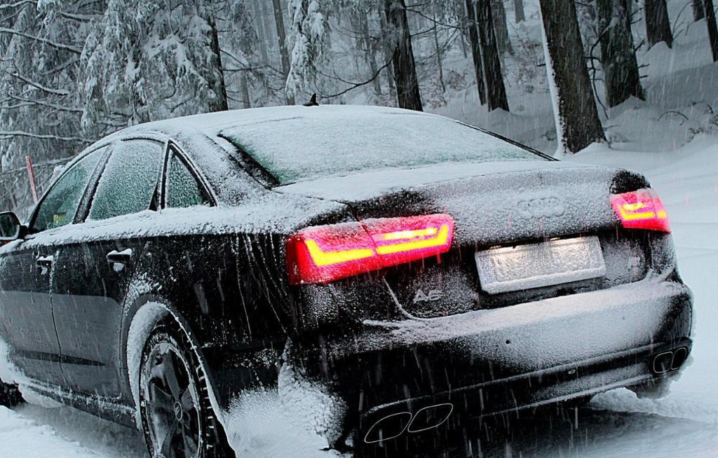 6520721109NEIGE.jpg