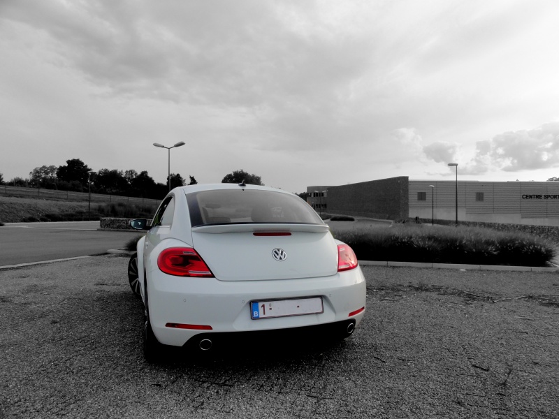 653609DSC06472A.jpg