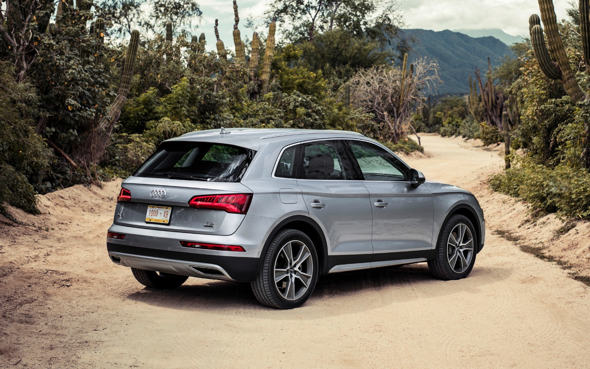 6540872678492017AudiQ5.jpg