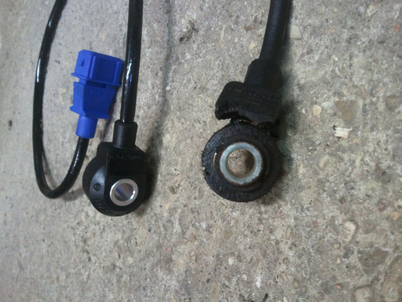 656428Photo6353.jpg