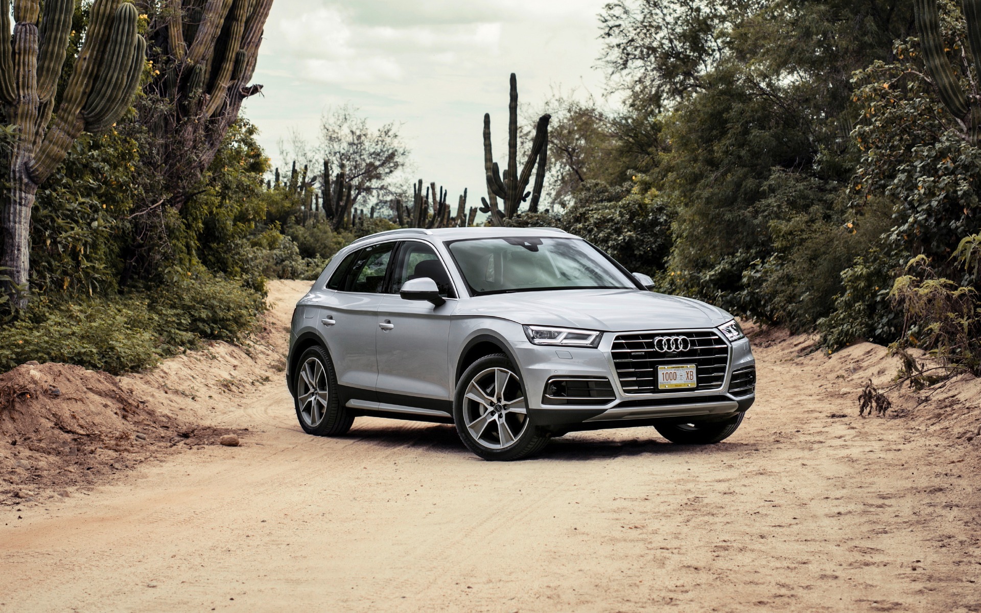 6624822678502017AudiQ5.jpg