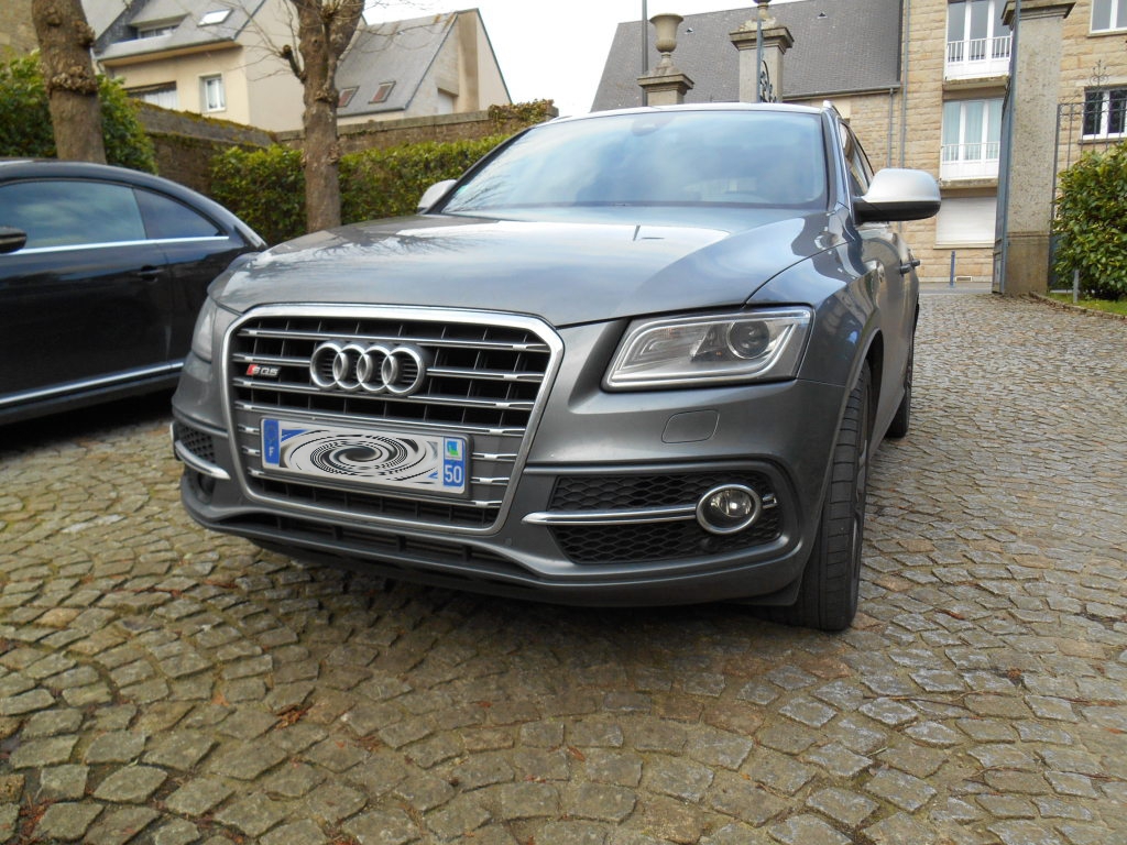 664479AUDISQ5964.jpg