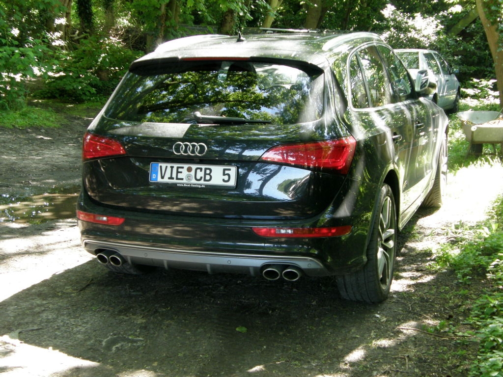 665386AUDISQ51153.jpg