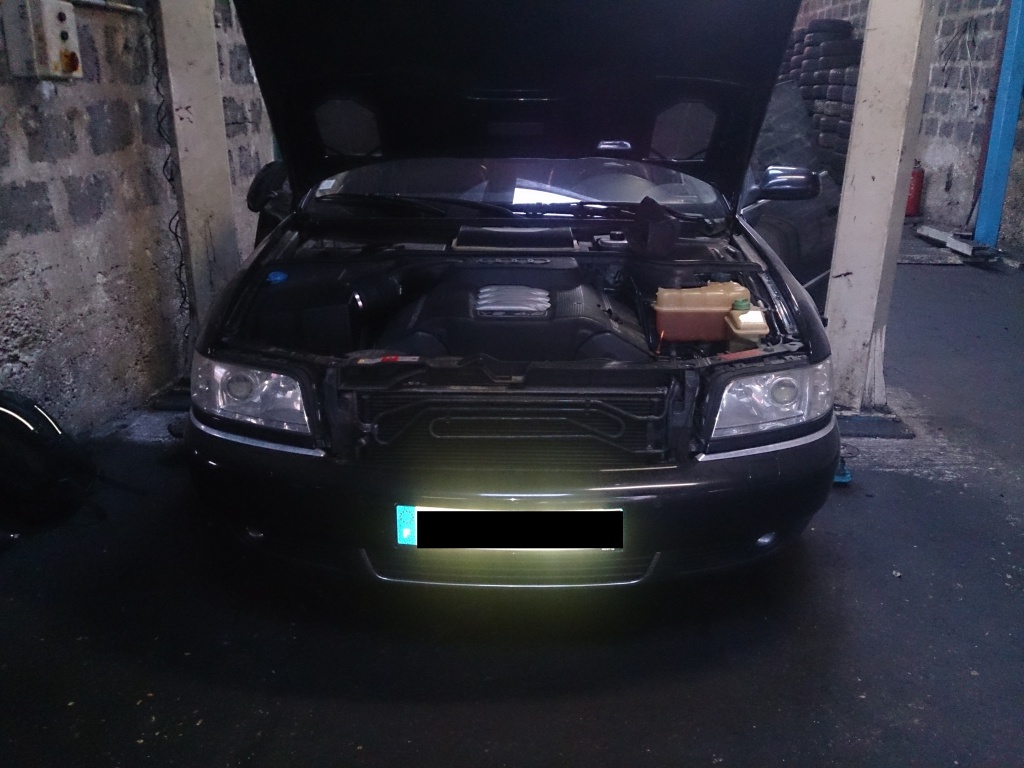665433DSC0524.jpg
