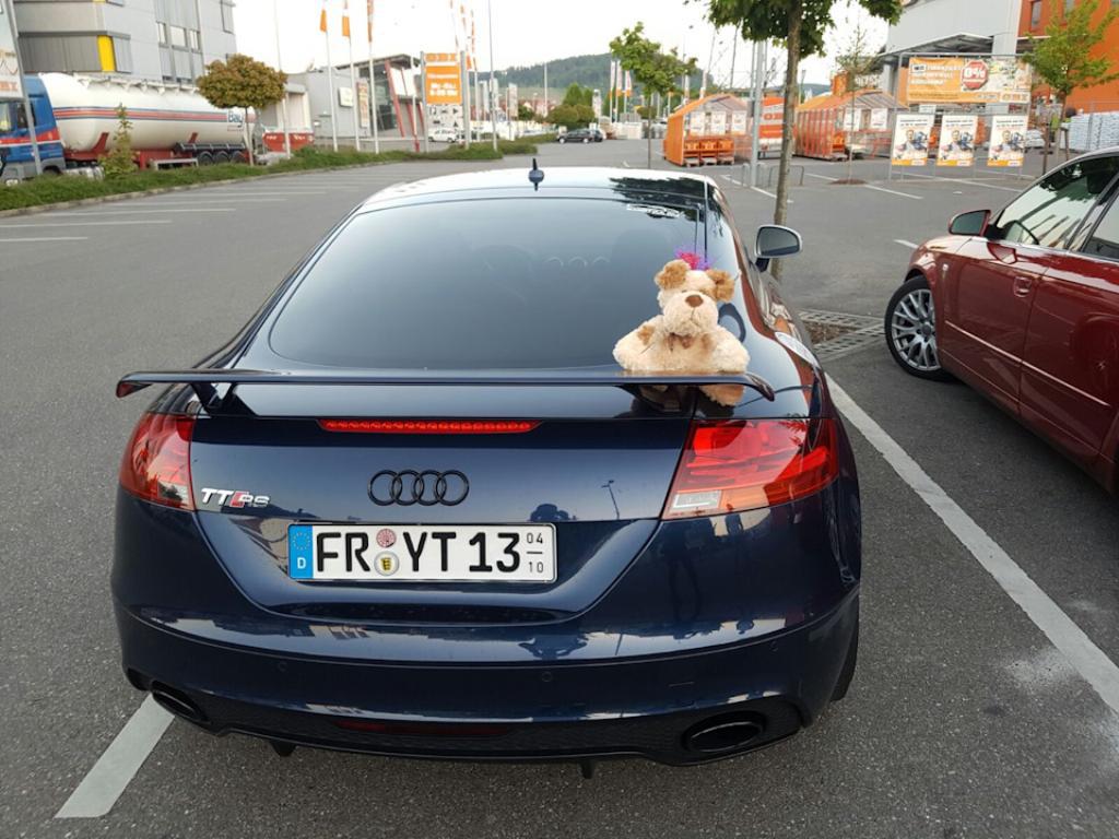 666951AUDITTRS2482.jpg