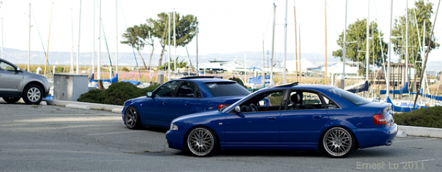667168dsc5618m.png