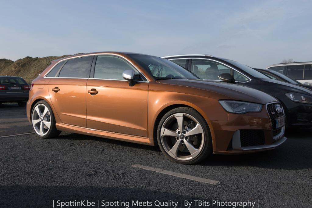 667554RS38V1900.jpg