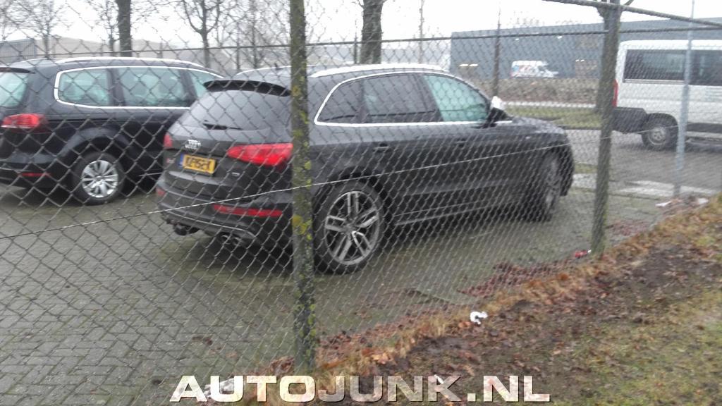 667675AUDISQ52399.jpg