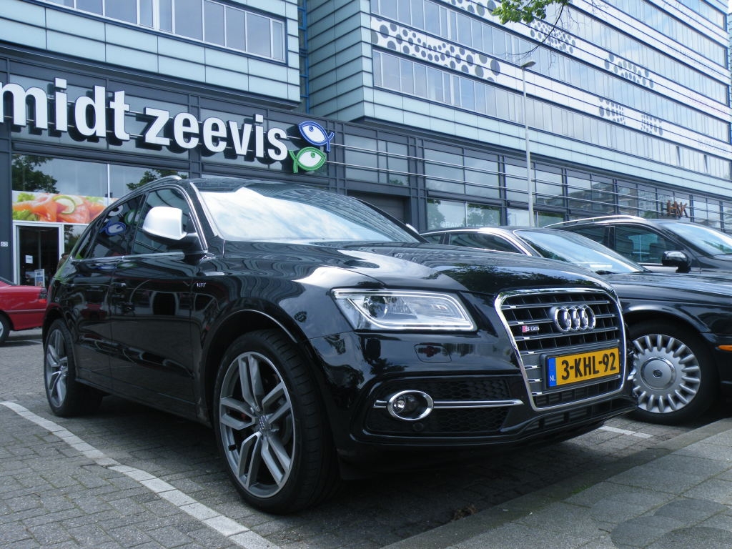 668222AUDISQ5594.jpg