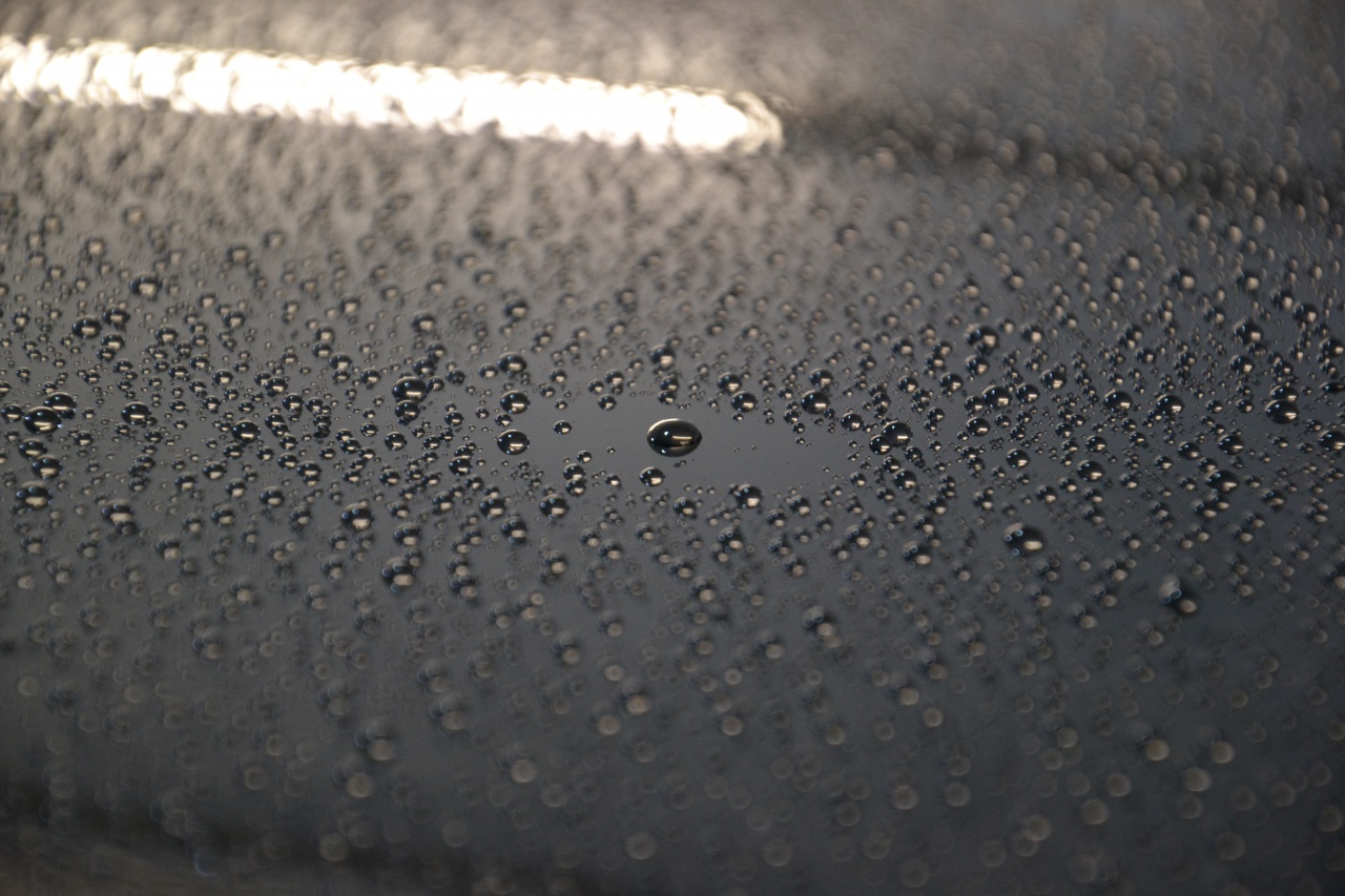 674956DSC0006.jpg