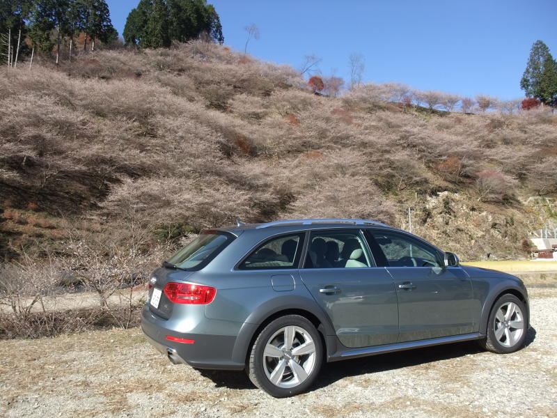 675596189AUDIA4ALLROAD.jpg