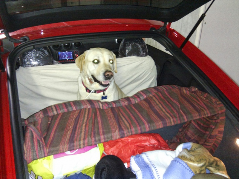 675720IMG20120505122825.jpg